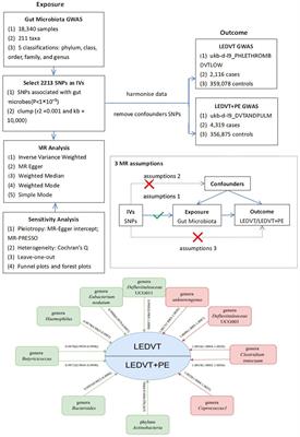 The causal relationship between gut microbiota and lower extremity deep vein thrombosis combined with pulmonary embolism